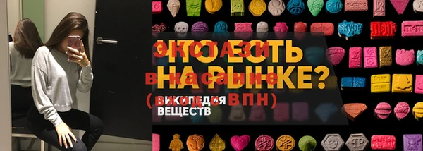 скорость Вяземский