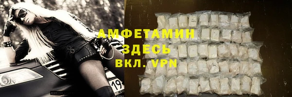 скорость Вяземский
