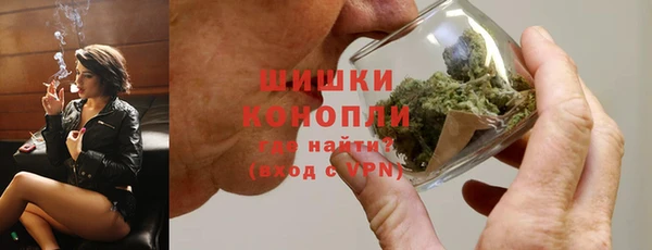 шишки Вязники