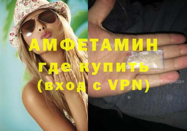 шишки Вязники