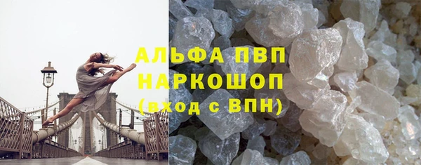 скорость Вяземский